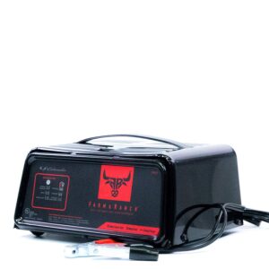 Schumacher Automatic Battery Charger